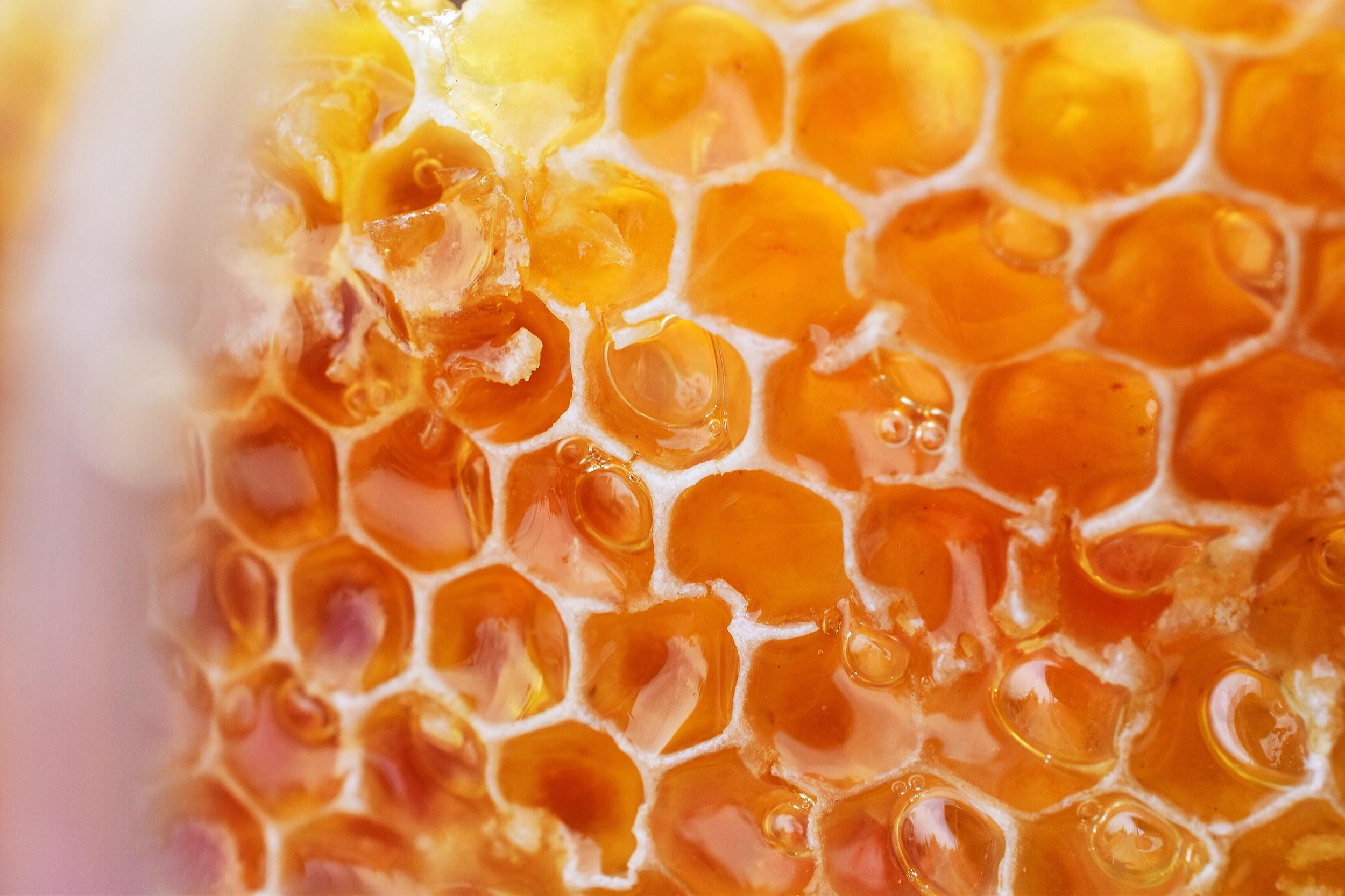 Scientific Research about Antimicrobial Properties of Honey Amber